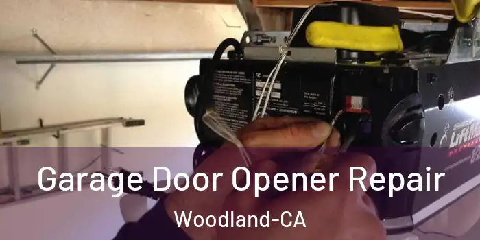  Garage Door Opener Repair Woodland-CA