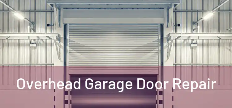  Overhead Garage Door Repair 